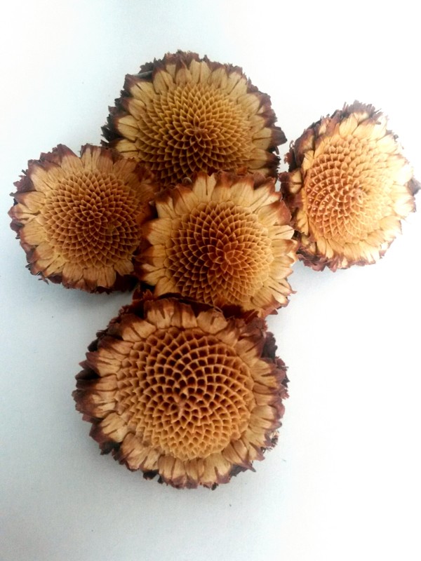 Susane rosette cream loose
