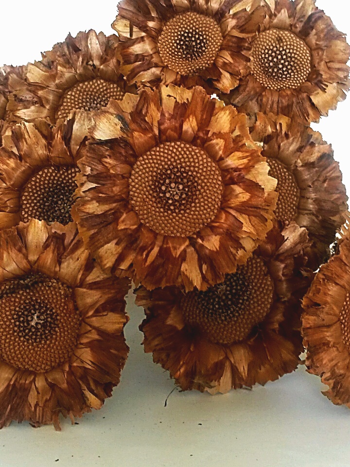 Coronata rosette brown stopka