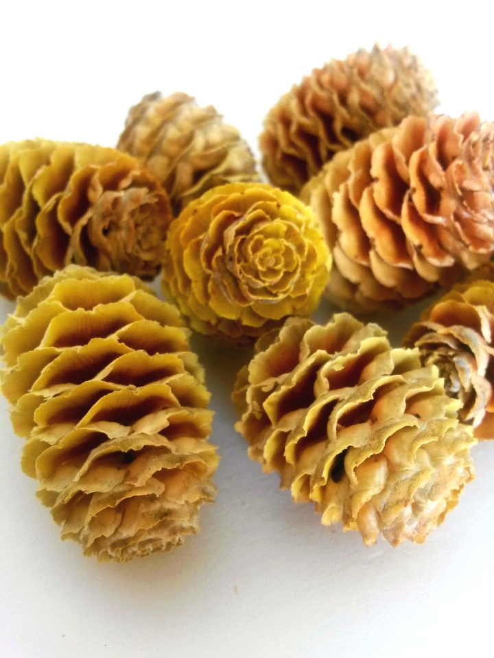 Sabulosum cream