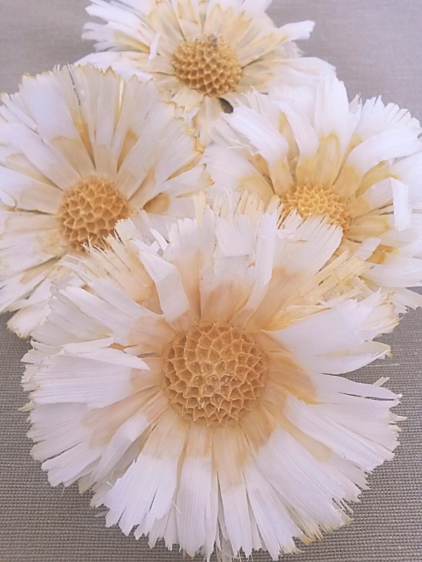 Repens supercuts bleached loose 8-9 cm