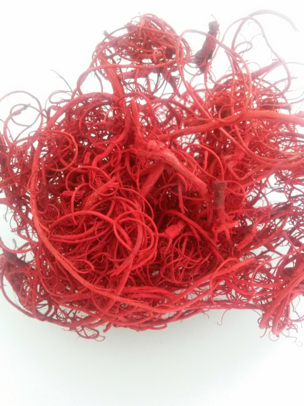 Curly Moss červená