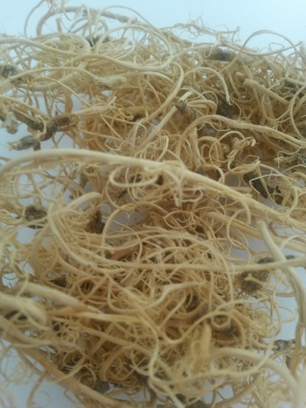 Curly Moss bělená