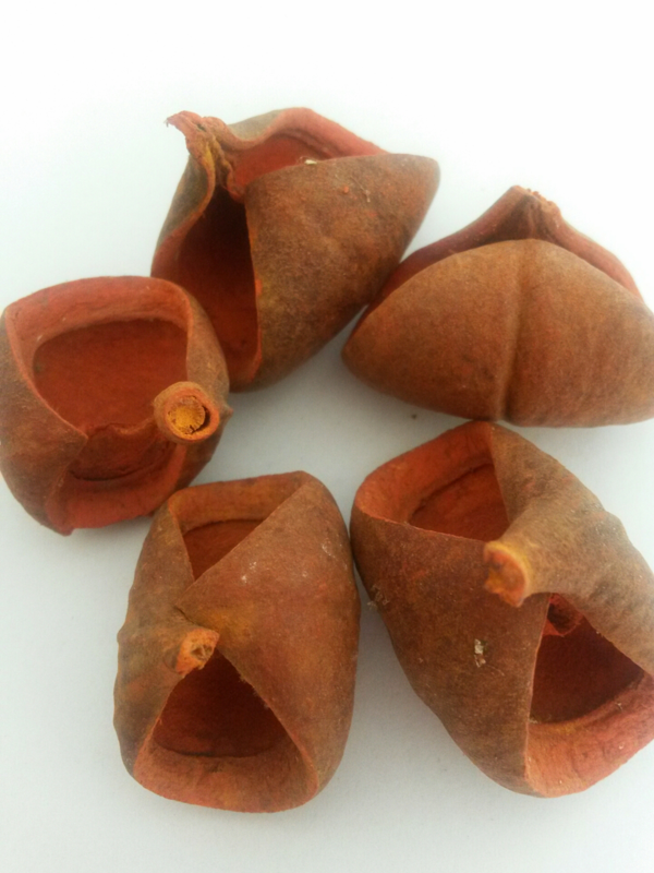Rosunia Petal oranžová