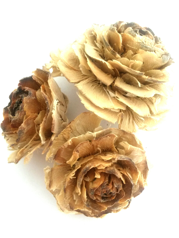 Cedar rose loose color bělená SLEVA
