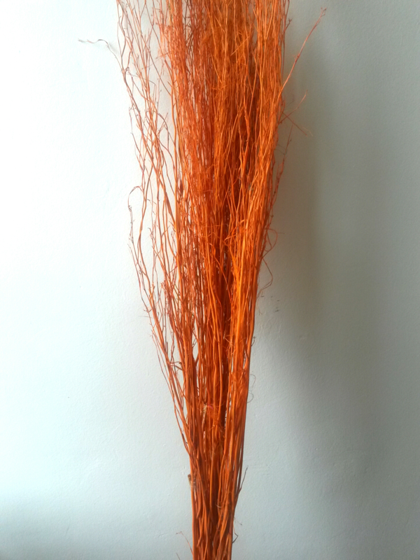 White Lady oranžová 125 cm
