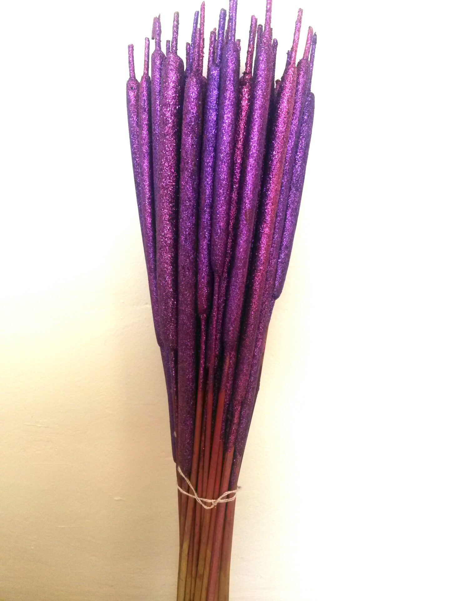 Reed spandix glitter erika