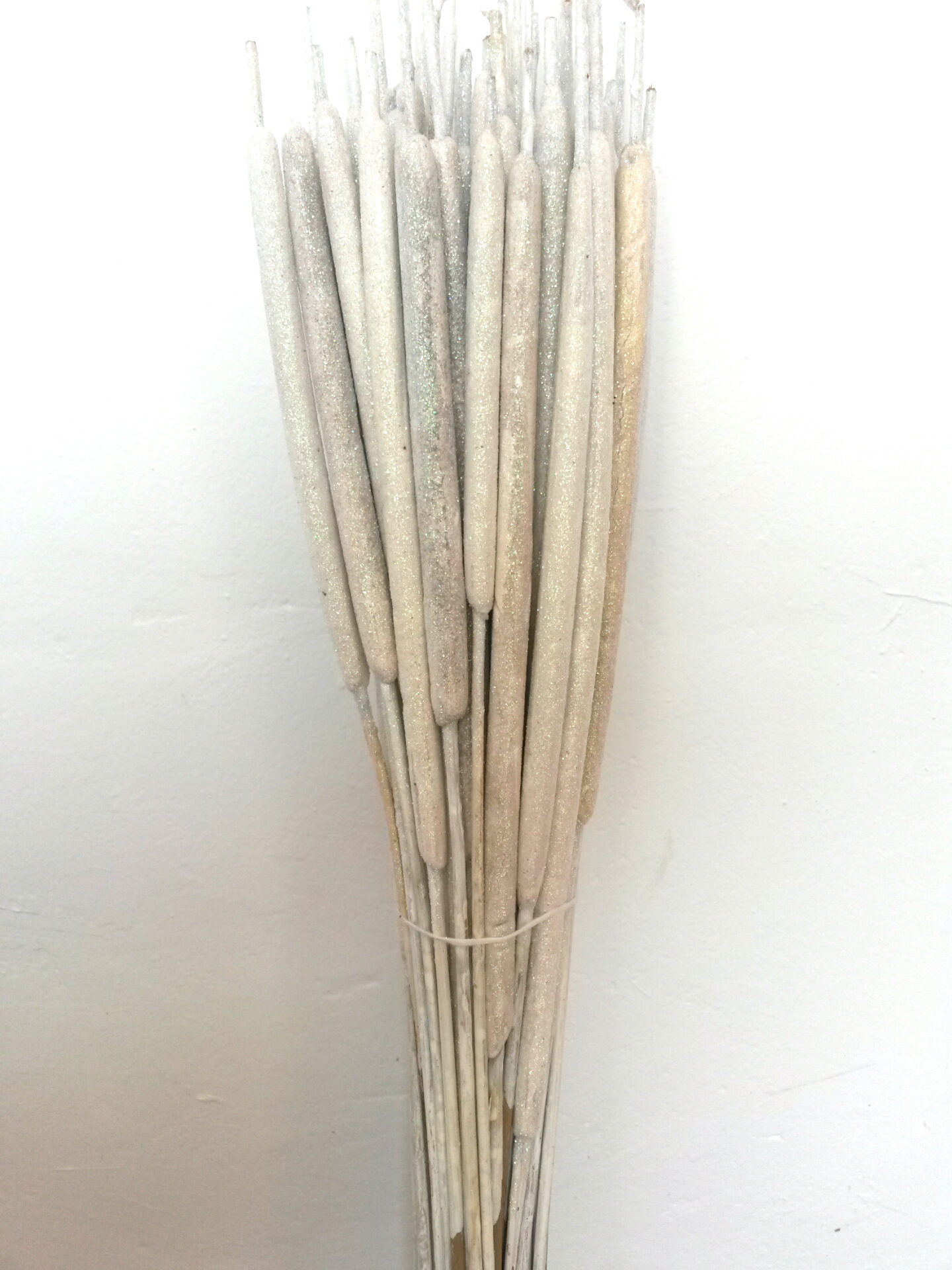 Reed spandix glitter bílá