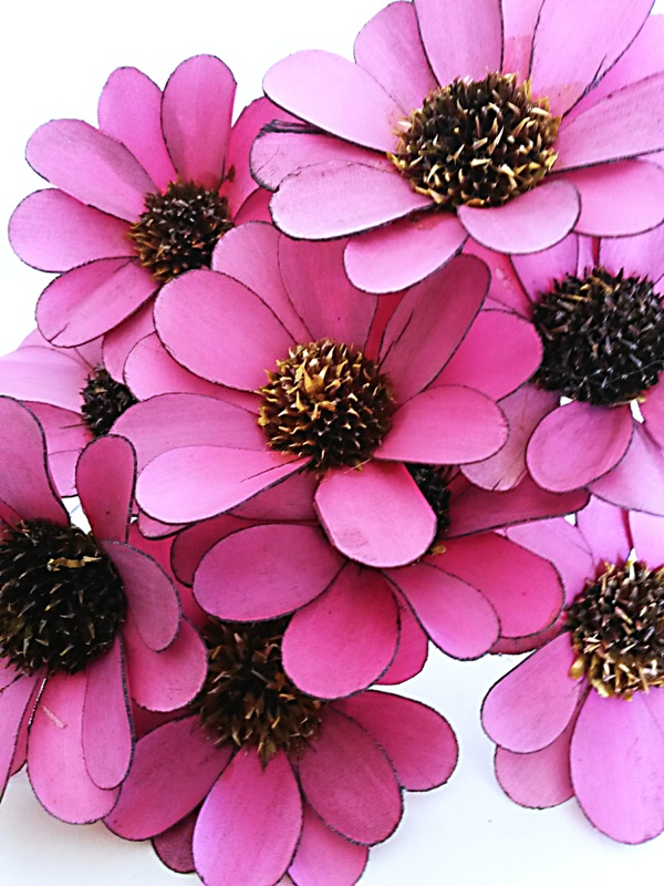 Palm Belly color 6 cm stopka fuchsia