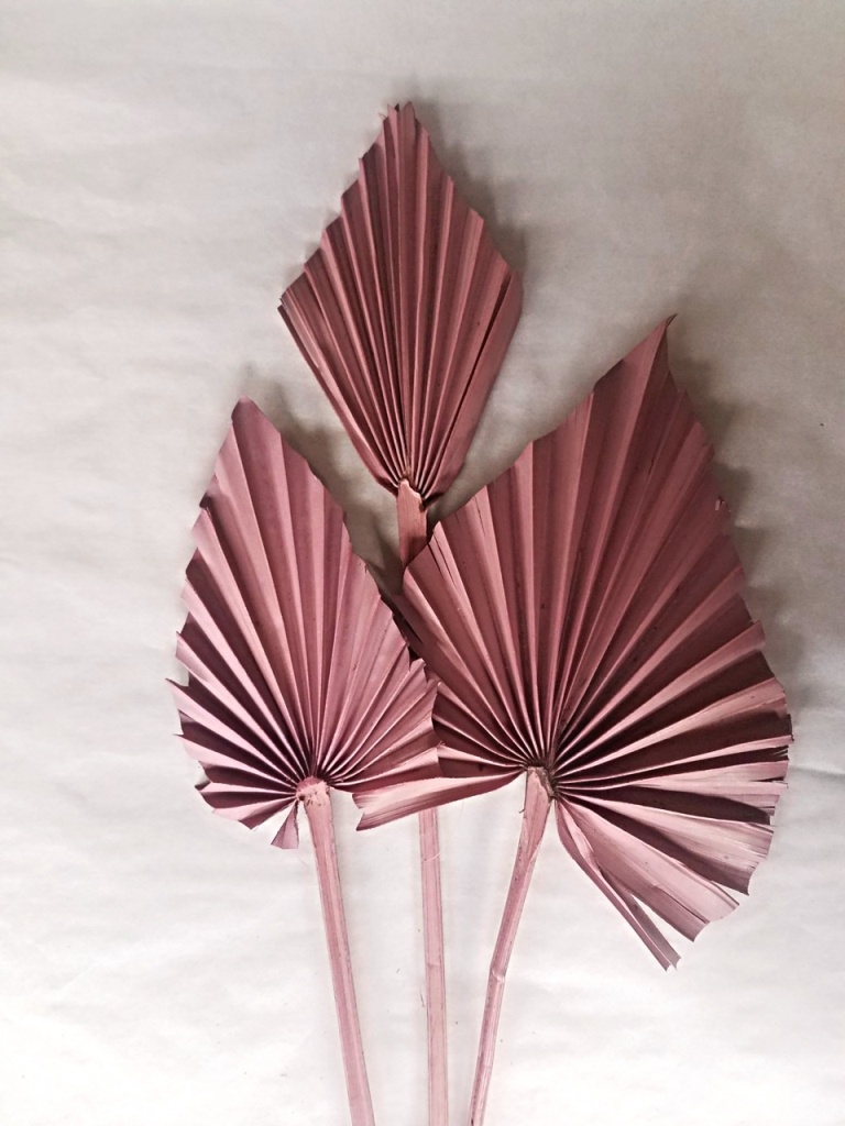 Palm spear Lila