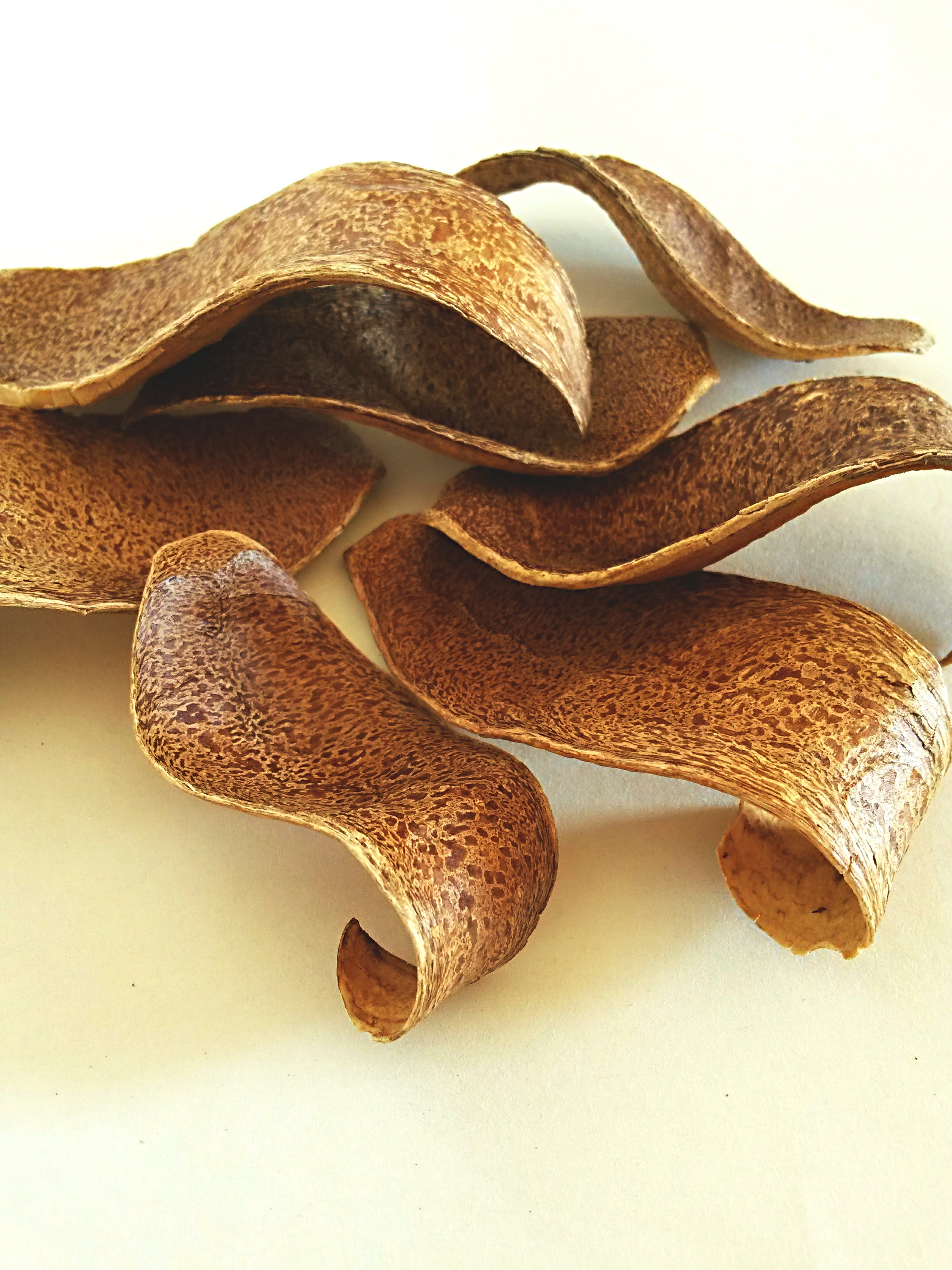 Mehogany Cobra Spoon natural