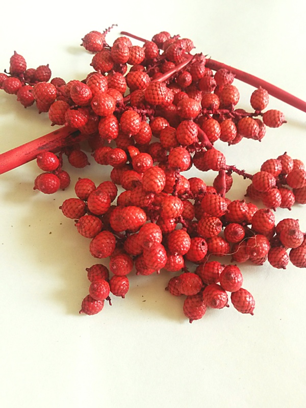 Canella Berries spec. červená