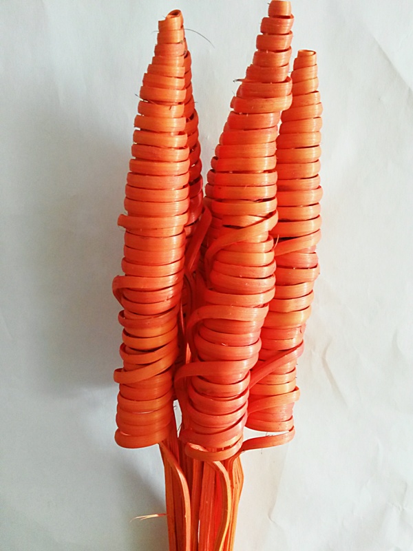 Cane Cone Jambo oranžová