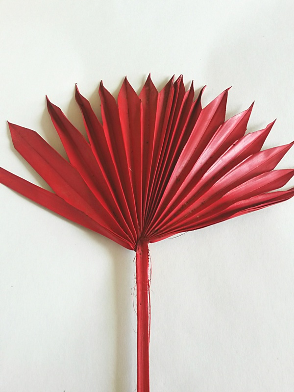 Palm sun spear červená