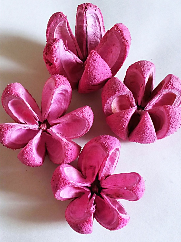 Bullet Flower Lila