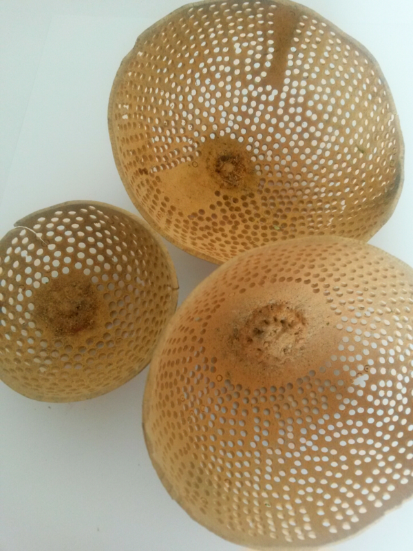 Bell cup net