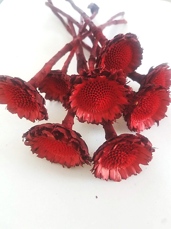 Susane rosette red
