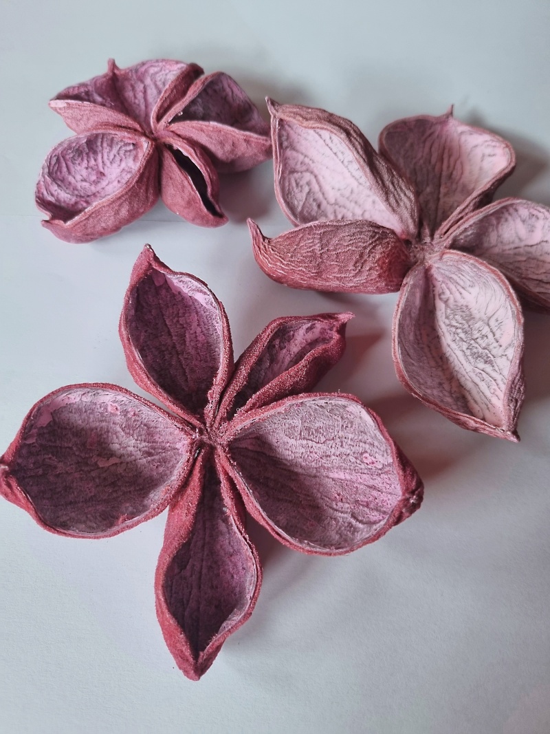 Land lotus red stonewash