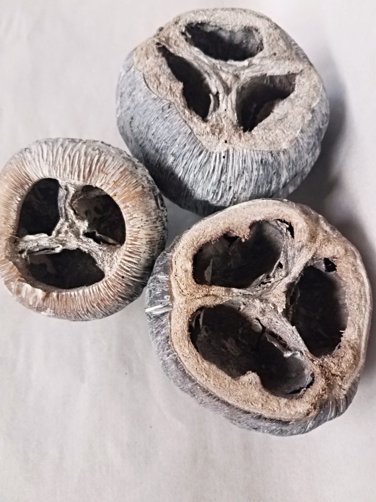 Talami natural stonewash
