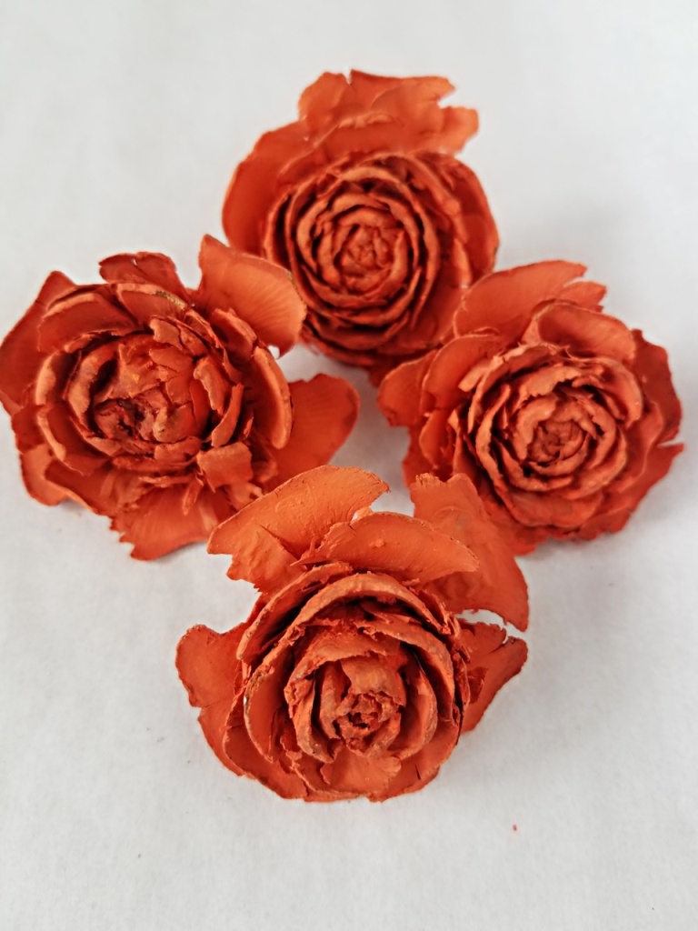Cedar rose mix velikostí paint orange