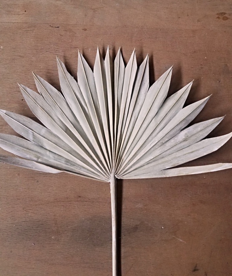 Palm sun spear natural stonewash
