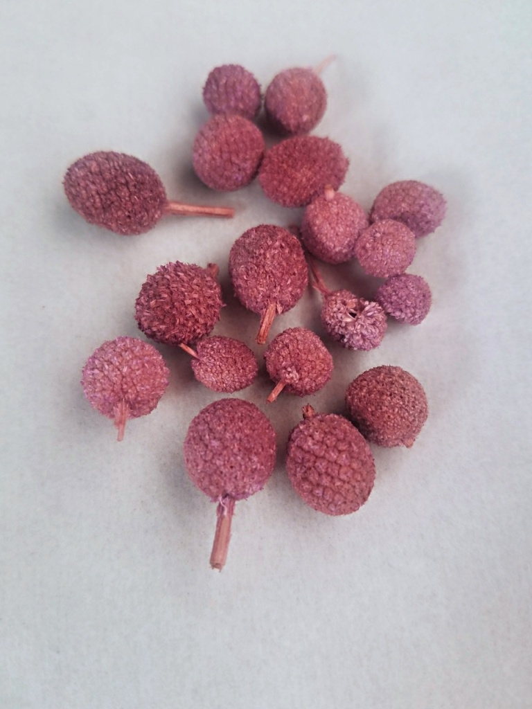 Bora flowers lila