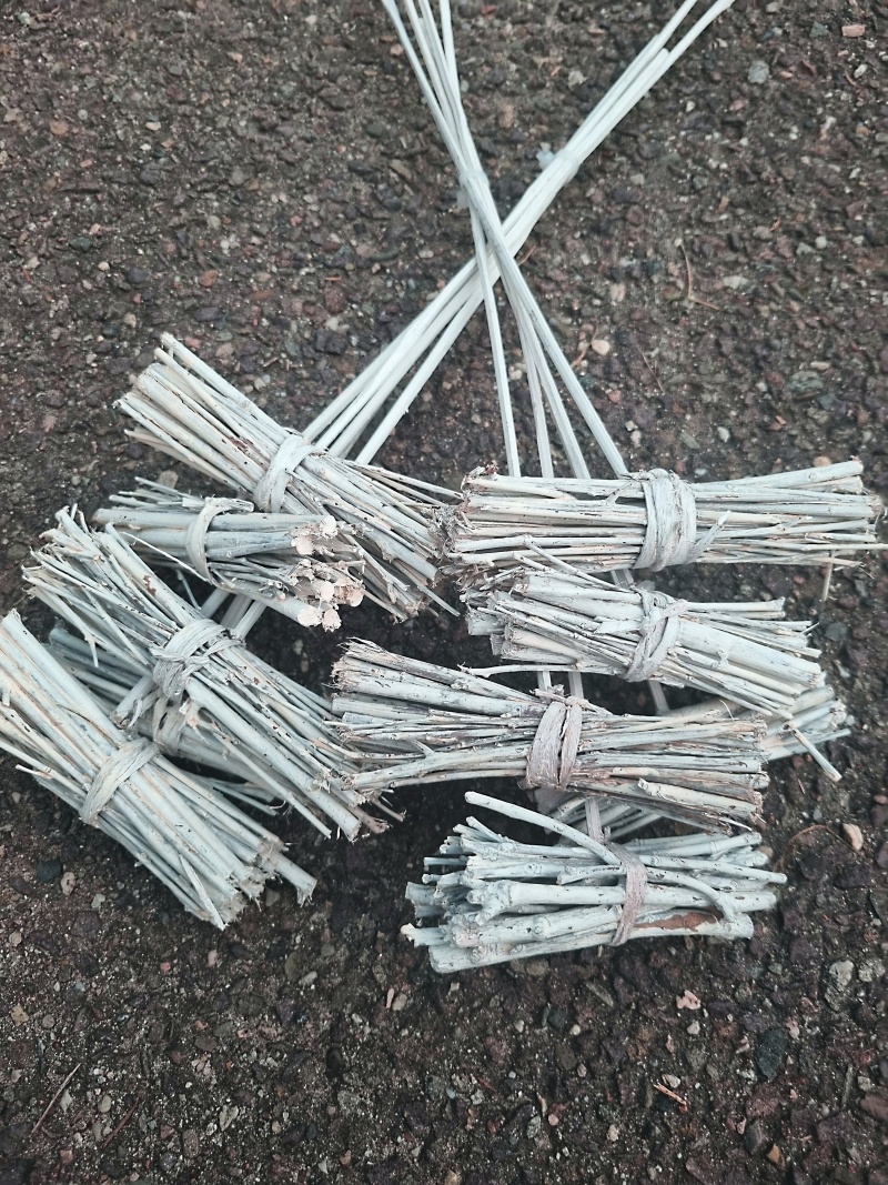 Browny Stick white paint
