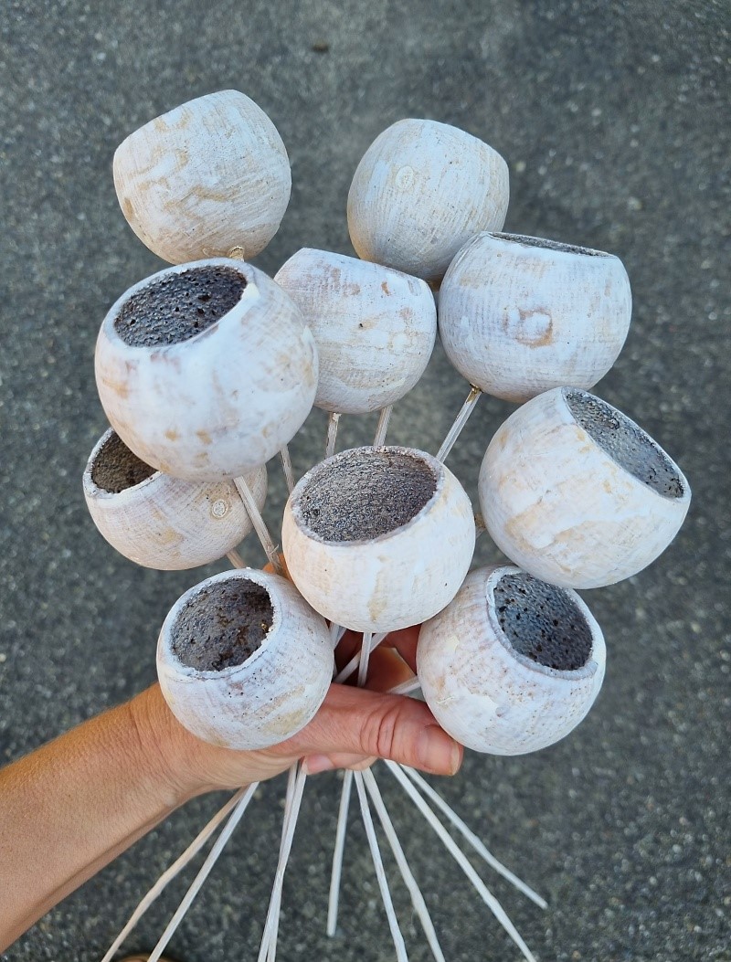 Bell cup natural stonewash stopka