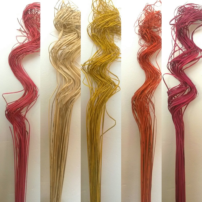 Curly Ting Ting color SLEVA