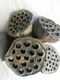 Lotus small