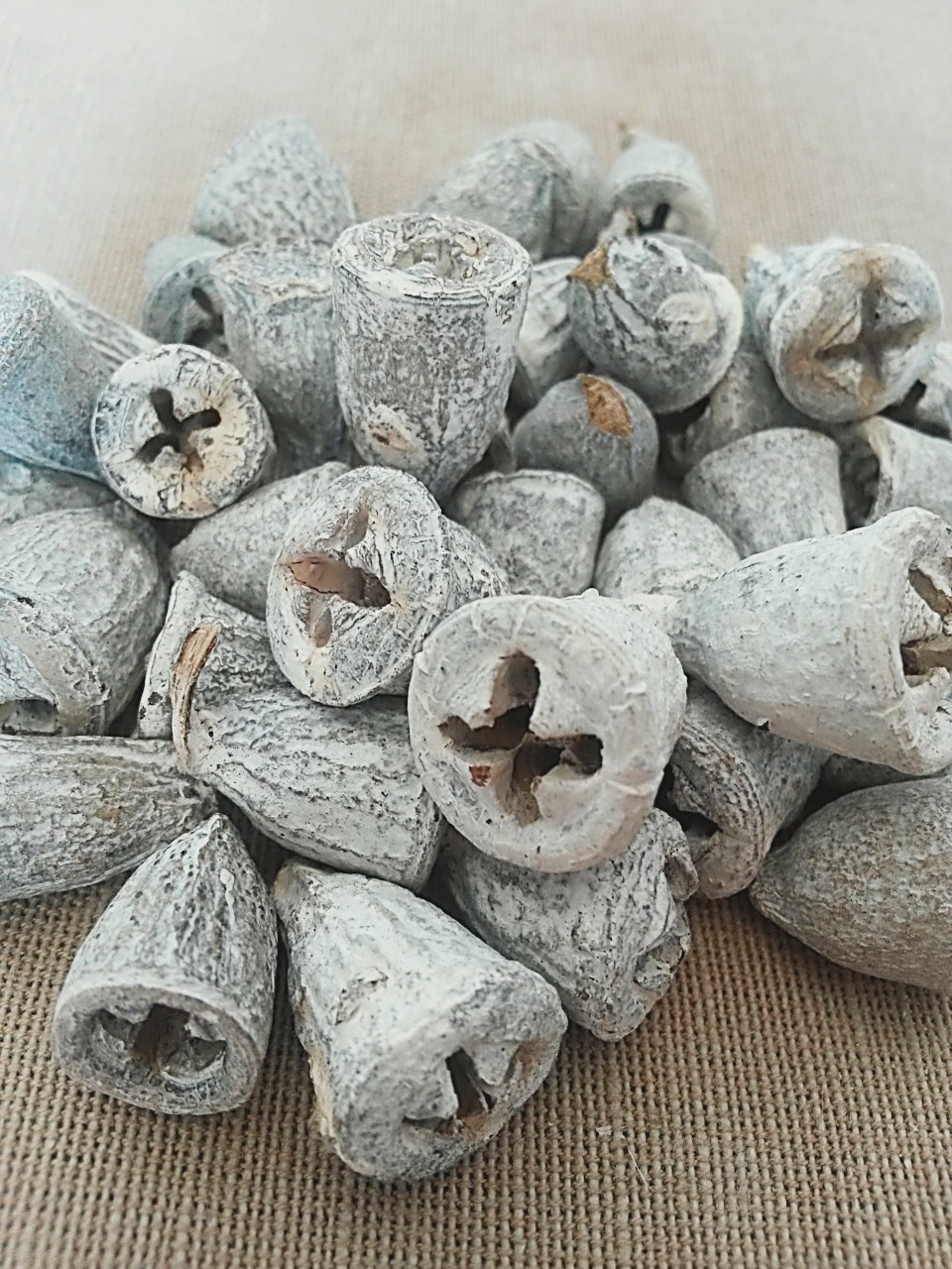Conical gum white washed loose