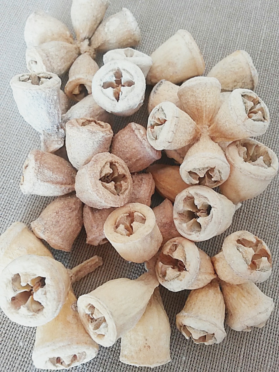 Conical gum bleached loose