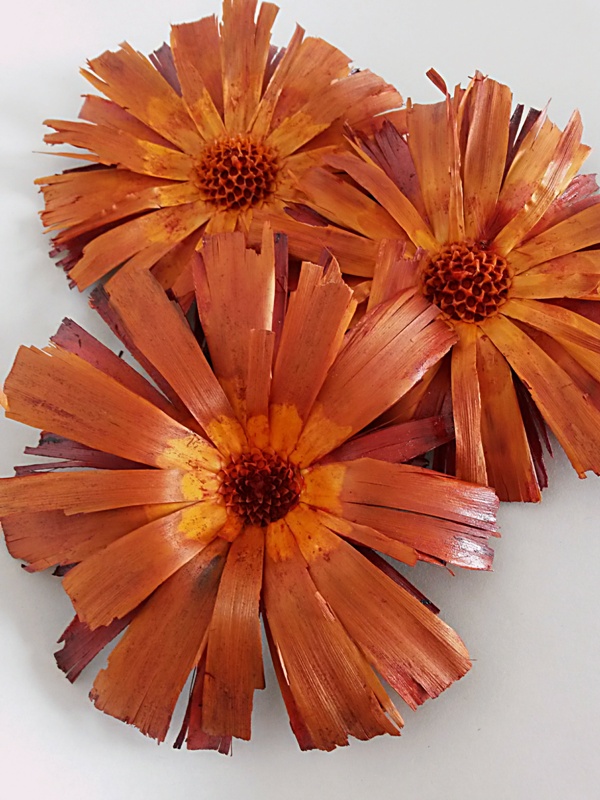 Repens supercut orange loose 10-12 cm