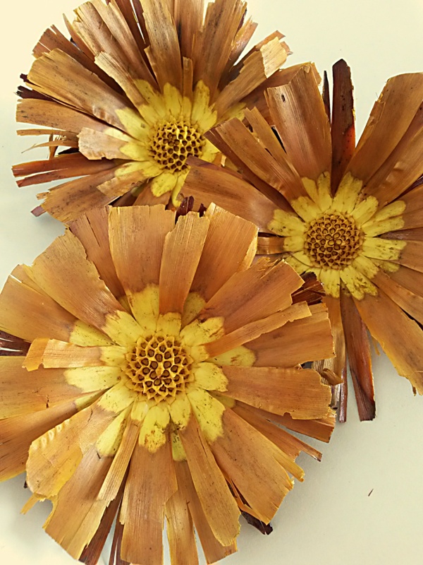 Repens supercut yellow loose 10-12 cm