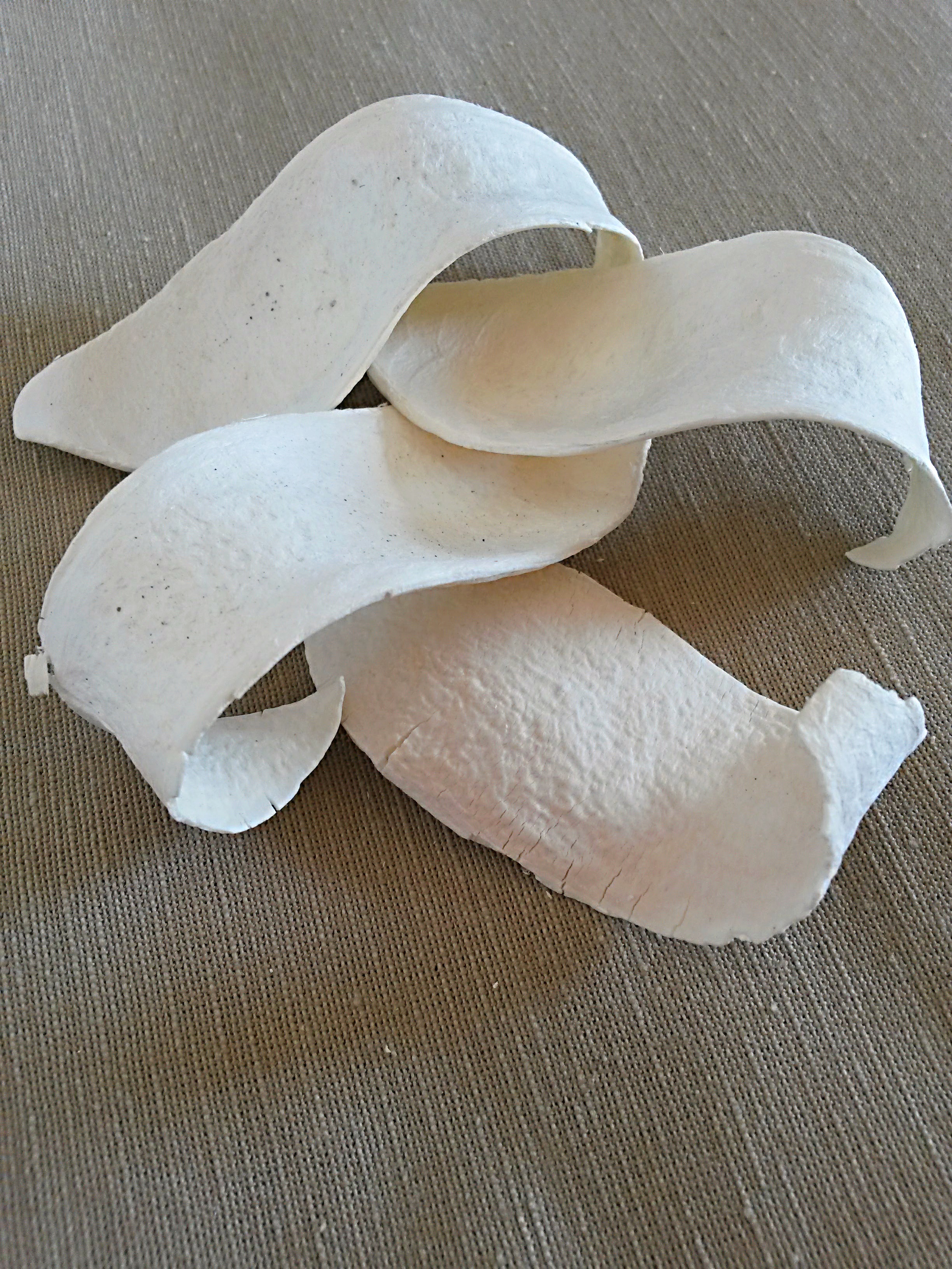 Mehogany Cobra Spoon bělená