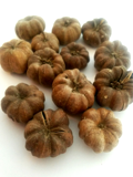 Putka pot natural