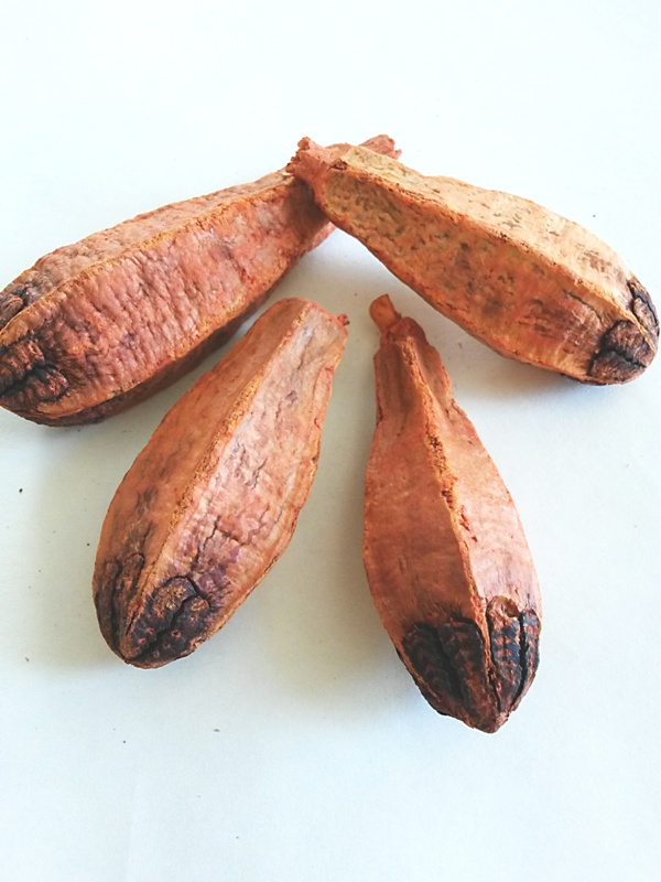 Mehogany Pod oranžový