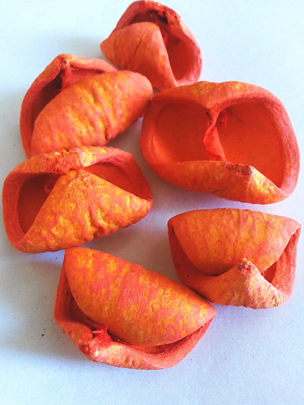 Rosunia Petal oranžová