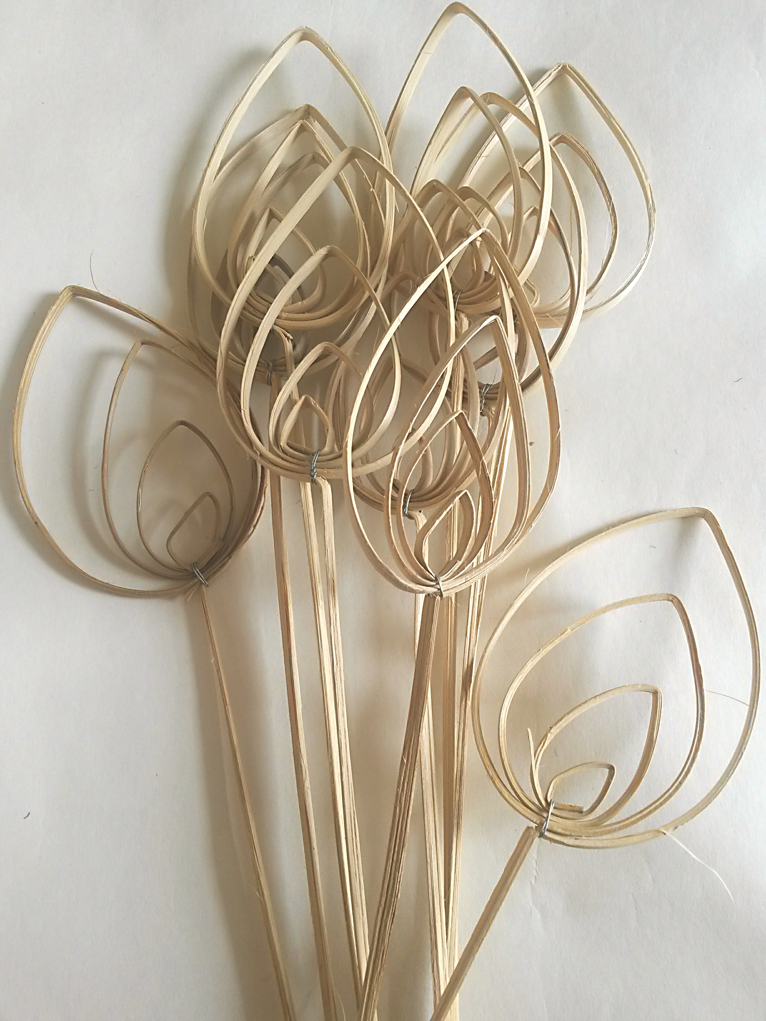 Cane Pradeep Natural