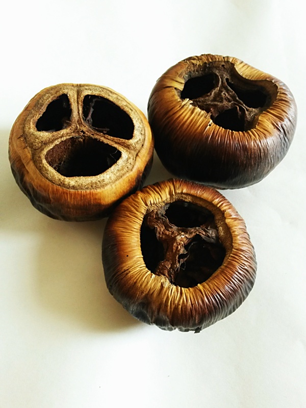 Talami natural