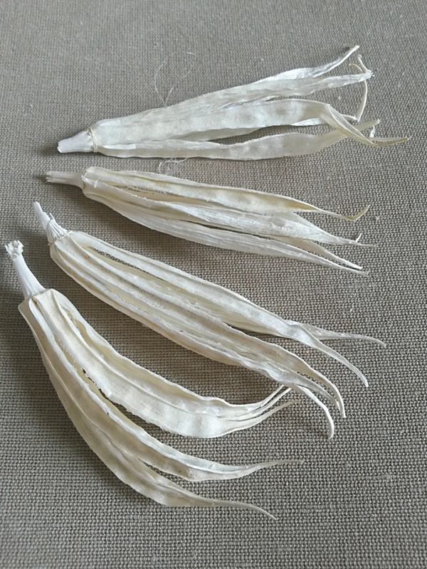 Okra pod bělená