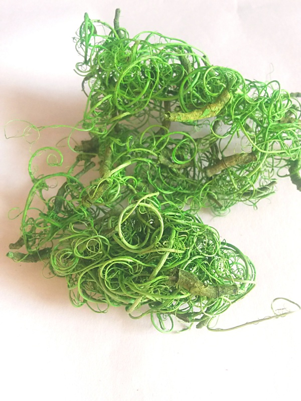 Curly Moss zelená light