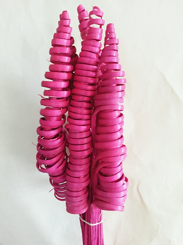 Cane Cone Jambo fuchsia