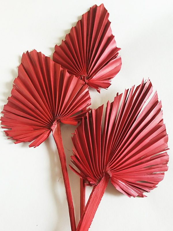 Palm  spear červená