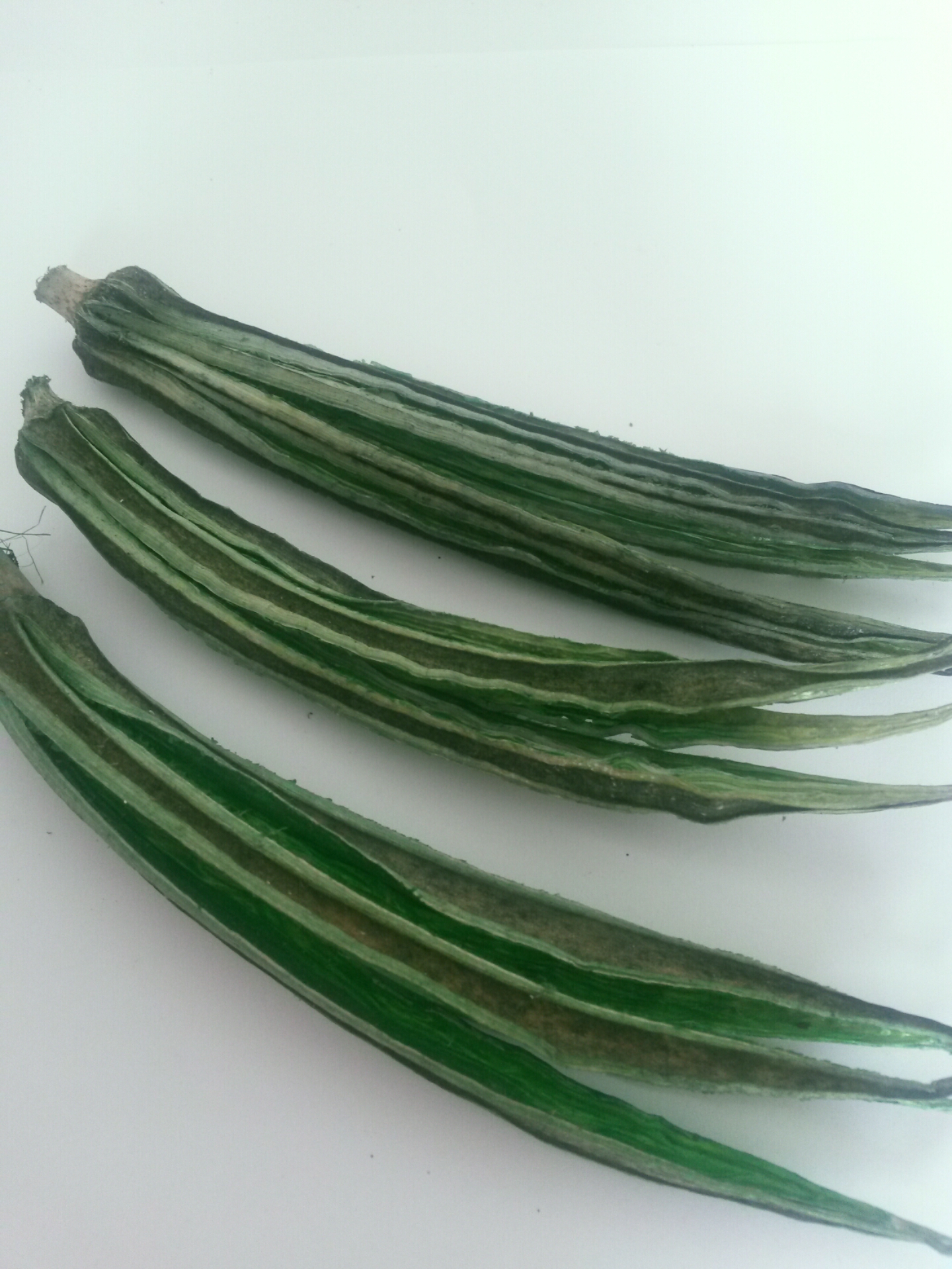 Okra pod zelená