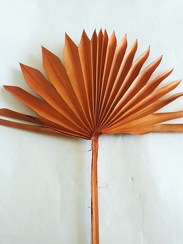 Palm sun spear oranžová
