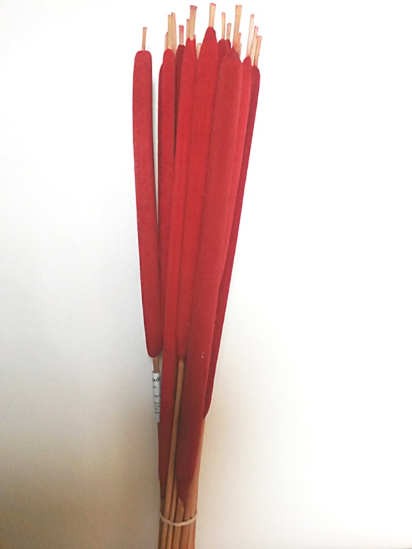 Reed spadix červená