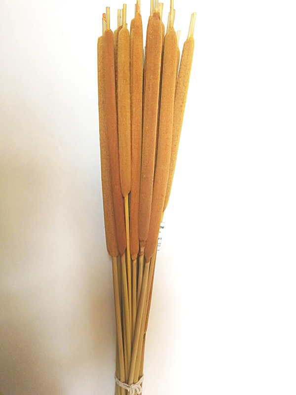 Reed spadix žlutá