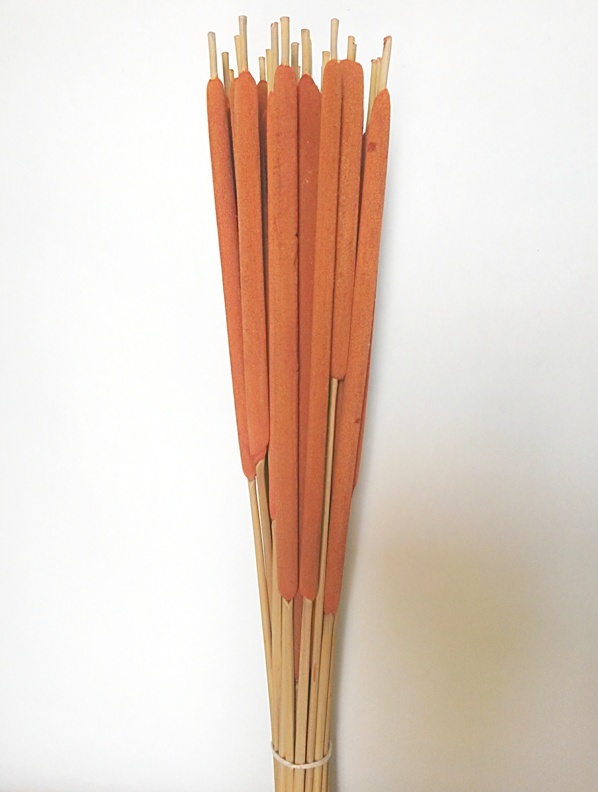Reed spadix oranžová