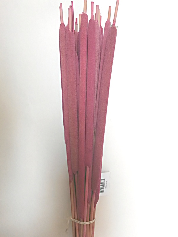 Reed spadix fialová