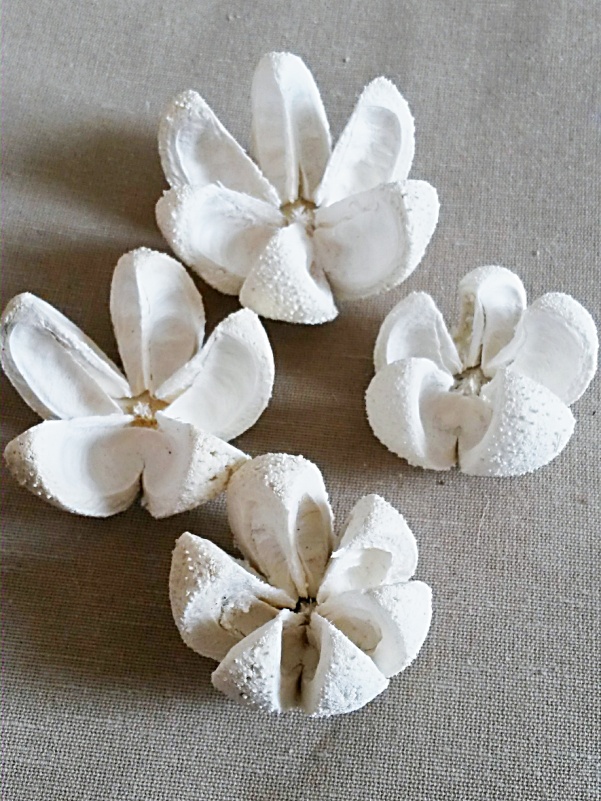 Bullet Flower Bleach